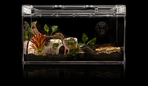 Boîte d'alimentation solide PC transparente conception de plateau en plastique moderne pour différents reptiles lézards araignées hamsters - Product Image 4