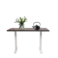 Bureau debout de bonne qualité à double moteur ergonomique assis sur pied 2 étapes levage réglable cadre en métal de jeu électrique