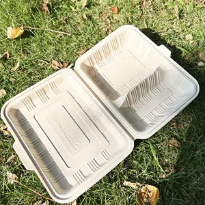 一次性饭盒650毫升环保容器生物降解2格饭盒玉米淀粉食品托盘，食品午餐博
