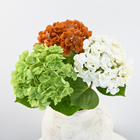 Hydrangea artificielle en latex bleu et blanc, toucher réaliste, 62 cm, haute qualité, pour décoration de mariage, décoration de la maison, arrangement floral