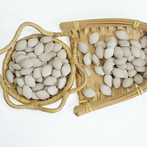 Suppléments à base de plantes personnalisés en usine, comprimés de santé et aliments nutritionnels - Product Image 5