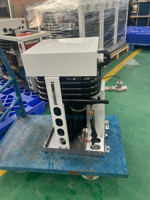 Refroidisseur d'Eau Marin Modulaire OEM ODM 2025 USA Europe 2 TONNES 360000 BTU Compresseur Copeland Écologique
