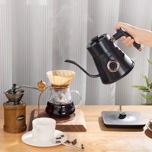 Bouilloire électrique en acier inoxydable avec thermomètre intégré et bec col de cygne pour le café et l'eau bouillante - Product Image 2
