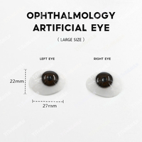 Support de Présentation pour Lentilles de Contact Colorées YITONGNIAN YY en Acrylique Écologique – Présentoir Médical pour Lentilles Oculaires et Pièces de Lunettes