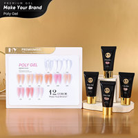 Kit d'extension d'ongles en polygel Hanyi Premium Naturel Vegan 12 couleurs 30ml Facile à appliquer Longue durée OEM Polygel personnalisé