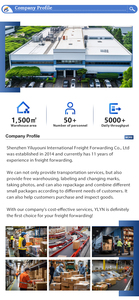 Transporte Rápido de Mercancías por Ferrocarril en Europa, de China a Reino Unido, Polonia, Hungría, Luxemburgo, Finlandia, Servicio de Entrega a Domicilio con Camiones - Product Image 2