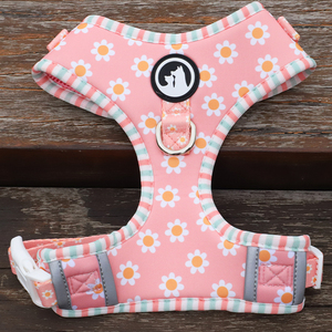 Harnes anjing jala Super populer tidak ada tarikan luar ruangan Neoprene reflektif <span class=keywords><strong>Harness</strong></span> kecil untuk tali anjing kerah tempat tas kotoran - Product Image 2