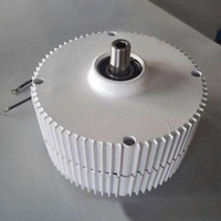 Générateur AC PMG 300W 12V 24V Générateur d'énergie éolienne à aimants permanents