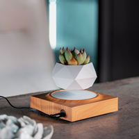 Maceta Flotante de Levitación Magnética HCNT, Plástico ABS con Recubrimiento de Cromo, Flores Artificiales, Forma Cuadrada, Estilo Minimalista