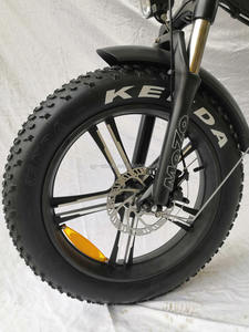 QUEENE/Ebike quantité minimale de commande 1 pièces livraison rapide vélo pliant 20 pouces basikal velo bicis <span class=keywords><strong>cargo</strong></span> e bike gros pneu vélo électrique - Product Image 3