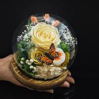 Rose éternelle sous cloche en verre sphérique, fleur éternelle, décoration d'intérieur, figurine de papillon pour bureau, cadeau de la Saint-Valentin