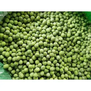 Jintian Factory Wholesale Bulk Frozen Cut Wholesale Frozen Vegetables Iqf Green Beans