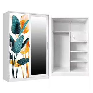 Customizable Color Modern Steel Wardrobe 2 Sliding Doors Freestanding Lockable Design for Bedroom Living <b>Room</b> Home Furniture - Product Image 2
