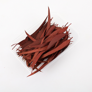 Dried Preserved <strong>Eucalyptus</strong> Leaves for Home Stem Photo Props Real <strong>Plant</strong> for Vase Office Wedding DIY Craft Decoration - Product Image 4
