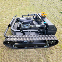 Robot tondeuse à gazon à essence télécommandé Briggs & Stratton Engine pour l'agriculture et la foresterie professionnelle