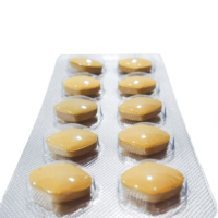Comprimés concentrés d'épimède à base de plantes, formule exclusive certifiée GMP, 500 mg, améliorent le système immunitaire, soutiennent l'énergie, favorisent la santé des adultes