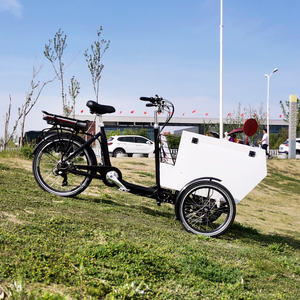 Vélo <span class=keywords><strong>cargo</strong></span> électrique et <span class=keywords><strong>non</strong></span> électrique, tricycle d'extérieur rétro à trois roues, chariot de transport, camionnette de vente ambulante - Product Image 5