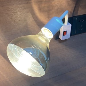 Lampe chauffante murale E27 avec support en céramique pour salle de bain et usage domestique - Product Image 2