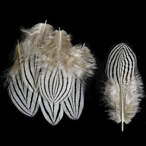 Plumes de faisan lavées en gros pour la fabrication artisanale, matériaux de décoration pour la pêche à la mouche, les coiffes de carnaval, les corsages et les chapeaux - Product Image 6