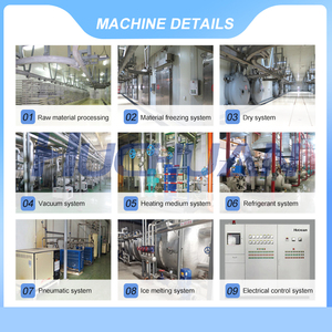 Máquina de Liofilização de Alimentos Saudáveis 2025, Liofilizador, Linha de Produção de <span class=keywords><strong>Durian</strong></span> Liofilizado - Product Image 4