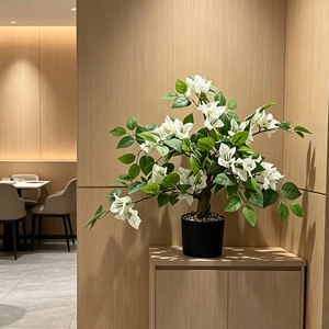 Bonsaï artificiel réaliste <span class=keywords><strong>en</strong></span> <span class=keywords><strong>bougainvillier</strong></span> <span class=keywords><strong>blanc</strong></span>, plante <span class=keywords><strong>en</strong></span> <span class=keywords><strong>pot</strong></span> de 45 cm, petite fausse verdure <span class=keywords><strong>en</strong></span> <span class=keywords><strong>pot</strong></span> pour la décoration de la maison, du bureau, de l'hôtel ou de la table - Product Image 6