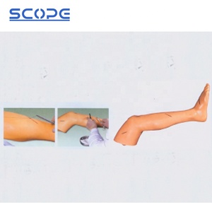 临床假人SC-LF2高级外科腿部缝合医学训练人体模型 - Product Image 2