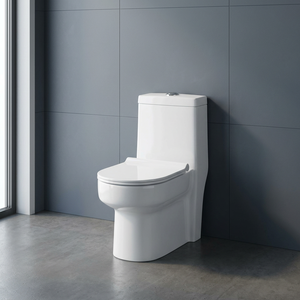 Africa Classic Ceramic One Piece WC P <b>Trap</b> Siphonic Flush Floor Mounted Western Water Closet Toilet - Product Image 4