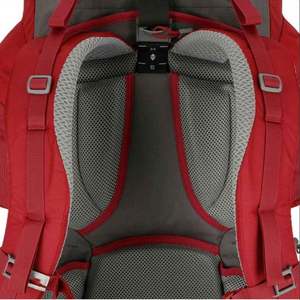 Échantillon gratuit, sac à dos de survie de camping en nylon imperméable ultraléger personnalisé par le fabricant, avec housse de pluie - Product Image 5