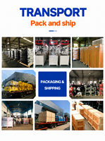 Système de tri de colis dynamique YJ-INTL YJ-DS-002 DWS, 2400 PPH, précision de numérisation de 99,9 %, convoyeur de tri durable