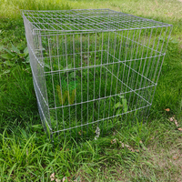 Cage de jeu pliable en fil métallique pour poulets, plusieurs tailles, cage en acier et fer très demandée pour l'élevage de poulets