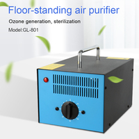 7000 mg/h Plaque en céramique d'ozone Ozono Odor Eliminator Générateur d'ozone Portable avec poignée Purificateur d'air à l'ozone
