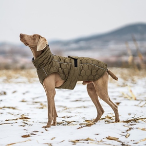 Modern Vintage Large Dog Inverno Casaco Confortável Poliéster Pet Manto Quente para Tempo Frio Elegante Pet Roupas - Product Image 1