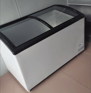 Congélateur coffre commercial 100-500 litres à 2 portes, refroidissement par air, pour supermarché, crème glacée, avec étagères réglables - Product Image 1