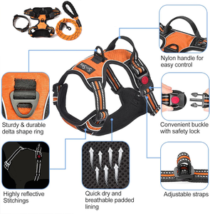 Arnés y Correa Ajustables de Neopreno para Perro, Duraderos y Personalizados, con Acolchado Transpirable de Malla Reflectante - Product Image 2