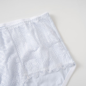 Produsen profesional celana dalam katun pinggang sedang pakaian dalam wanita ukuran <span class=keywords><strong>Plus</strong></span>