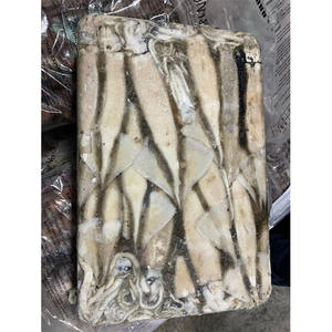 االحبار المجمدة سياحة االحبار المجمدة من الأرجنتين منتج االحبار المجمدة االحبار المجمدة الدائرية من الأرجنتين - Product Image 2