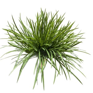 Orquídea Artificial Meng Jie de 30cm-100cm, Planta Decorativa de Plástico para Decoración del Hogar y Exteriores - Product Image 5