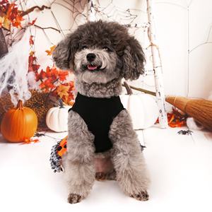 2025 Halloween Pet Party Lace Bow Polka Dot vestido hinchado Bichon Teddy <span class=keywords><strong>maltés</strong></span> ropa para perros pequeños y medianos - Product Image 4