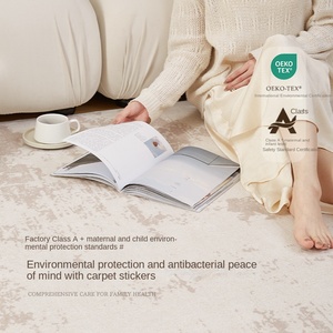Stile astratto <span class=keywords><strong>scandinavo</strong></span> tappeti antiscivolo facile da pulire Soft moquette da soggiorno grande tappetino per tavolino da camera da letto - Product Image 4