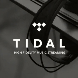 บัญชี Tidal Music Premium 6 เดือน |   การสมัครสมาชิก HiFi Plus |   สตรีมมิ่งคุณภาพสูง - Product Image 3