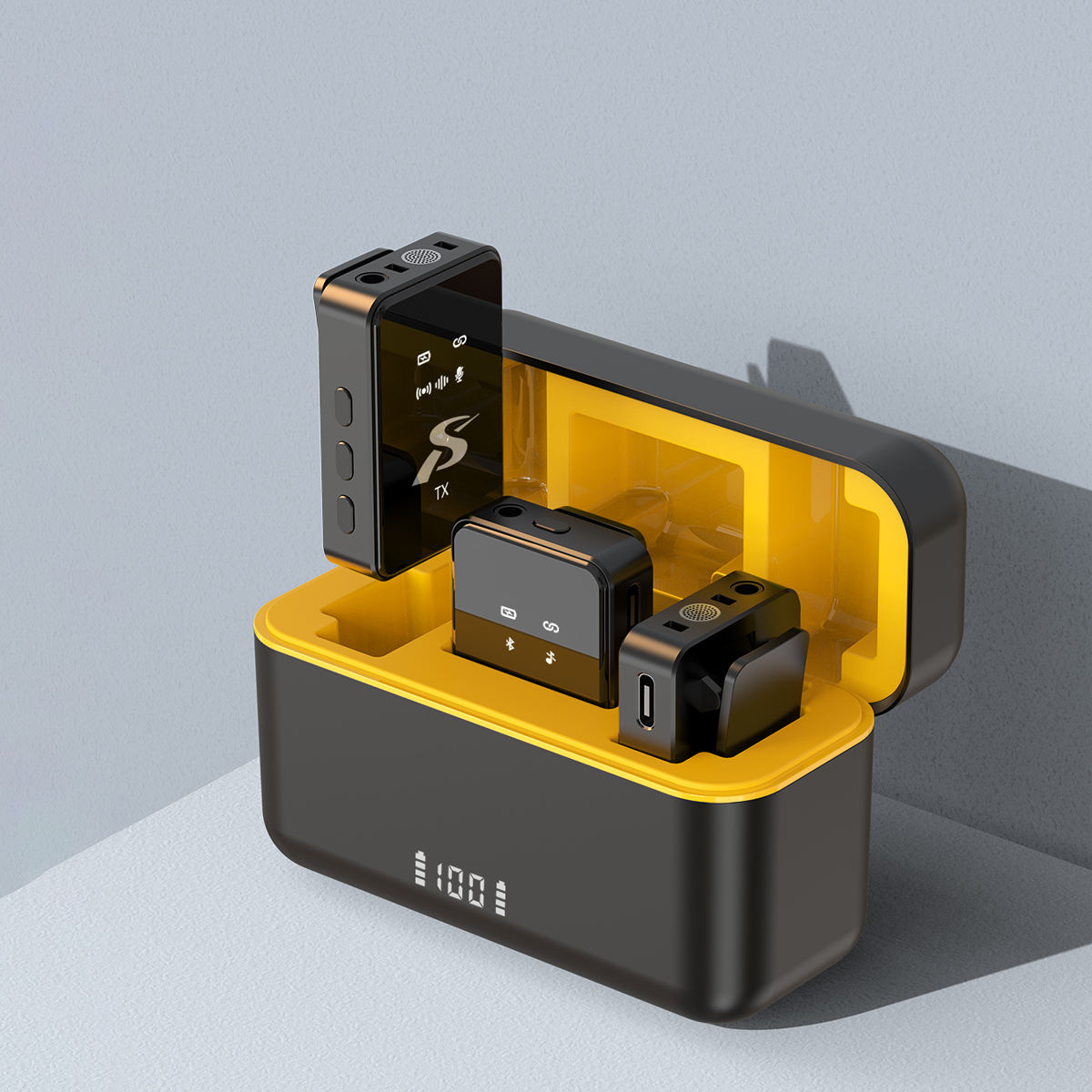 ไมโครโฟน2ตัว