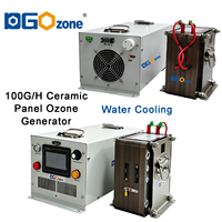 Générateur d'ozone industriel 100g/h pour l'aquaculture et les piscines, ioniseur d'eau contrôlé par PLC, haute concentration (200-250), garantie 1 an