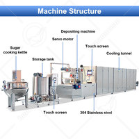 Ligne de production de bonbons gélifiés/à la pectine/gélatine entièrement automatique OCEAN 50 kg/h à vendre