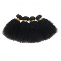 Lots de Cheveux Humains Afro Crépus Bouclés 9A en Gros, 8-22 Pouces, 100% Cheveux Humains Vierges, Tissage Teintable, Sans Perte, Sans Nœuds