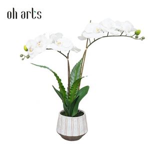 Oh Arts New Arrival Decorative Artificial Real Touch Orchid in Ceramic Pot Alocasia Bonsai Artificial <b>Ornamental</b> Potted Plants - Product Image 1