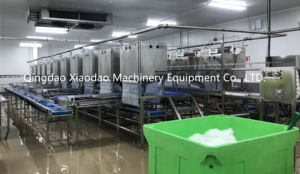 เครื่องทำความสะอาด<span class=keywords><strong>สาย</strong></span>การผลิตกุ้งแดงแบบอัตโนมัติของอาร์เจนติน่า - Product Image 5