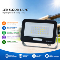 Projecteurs KCD haute puissance COB, haute luminosité, étanches, 30w 50w 100w 200 Watt 300w LED, projecteur extérieur réglable en couleur