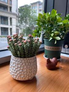 Maceta Rústica de Cerámica Esmaltada de 4 Pulgadas con Orificio de Drenaje, Duradera y Ecológica para Suculentas y Cactus, Estilo Rústico para Interiores/Exteriores - Product Image 6