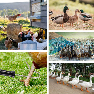 Herramienta de Ganadería con Gancho para Atrapar Aves de Corral, 6 Secciones, Acero Inoxidable, Acoplamiento Rápido, Poste Telescópico para Atrapar Patos, Pollos y Gansos - Product Image 6