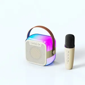 2024 Populaire Mini Hifi Bluetooth Speaker Met Mic Rgb Licht Voor Binnen/Buiten Thuis Karaoke Batterij Aangedreven Oem Odm Beschikbaar
